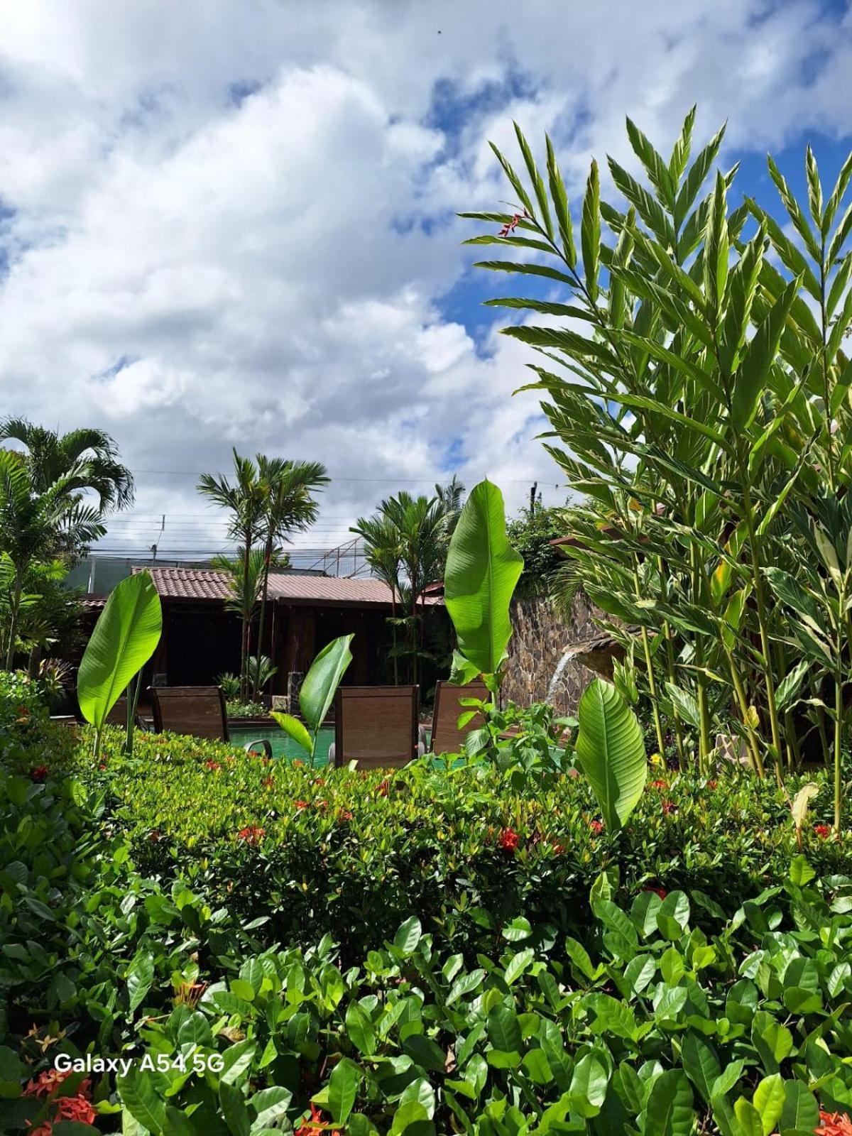 Hotel Iris Arenal La Fortuna Exterior photo